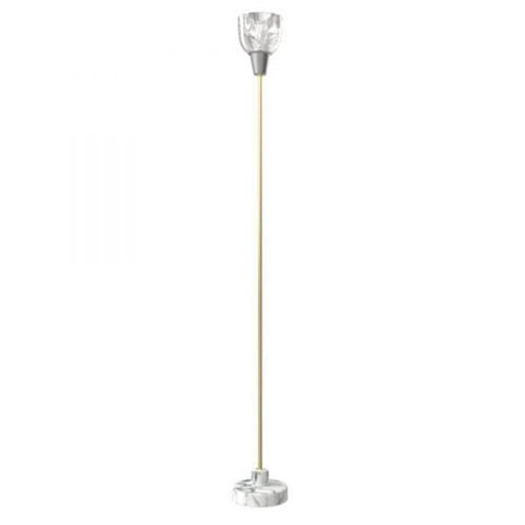 Coppa Aperta Piantana